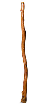 Brad Hagelstein Didgeridoo (BH060)